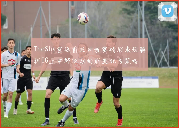 TheShy重返首发训练赛精彩表现解析IG上中野联动的新变化与策略